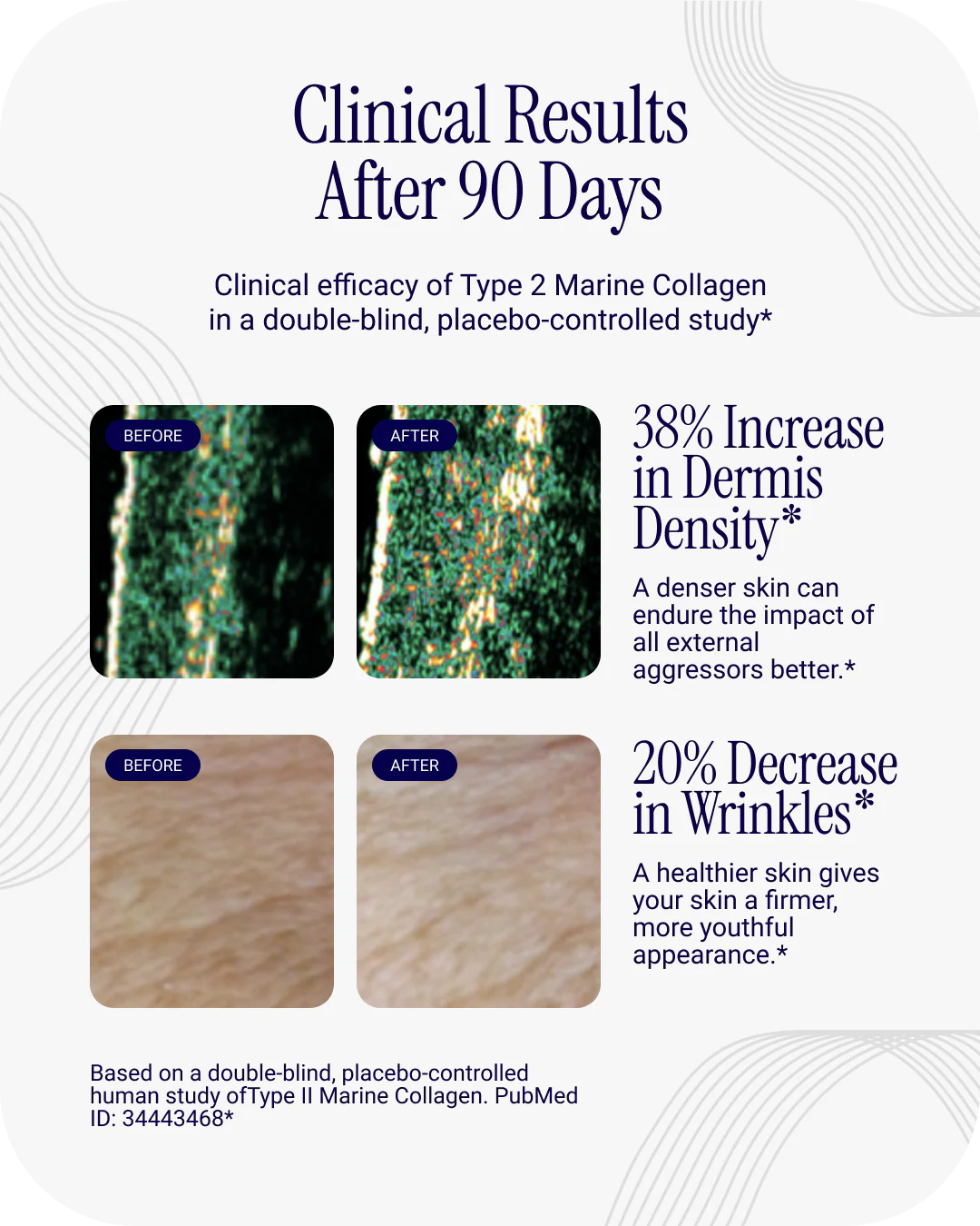 Liposomal Collagen Peptides - Image 8