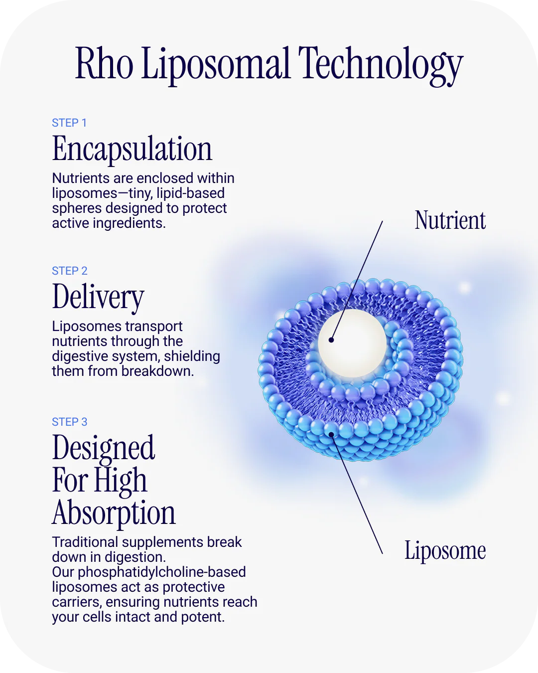 Rho Liposomal Creatine Monohydrate - Image 8